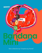 Load image into Gallery viewer, Mini bandana bags
