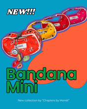 Load image into Gallery viewer, Mini bandana bags
